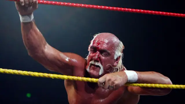 Хоган під час туру Hulkamania на арені Acer у Сіднеї, 28 листопада 2009 року.