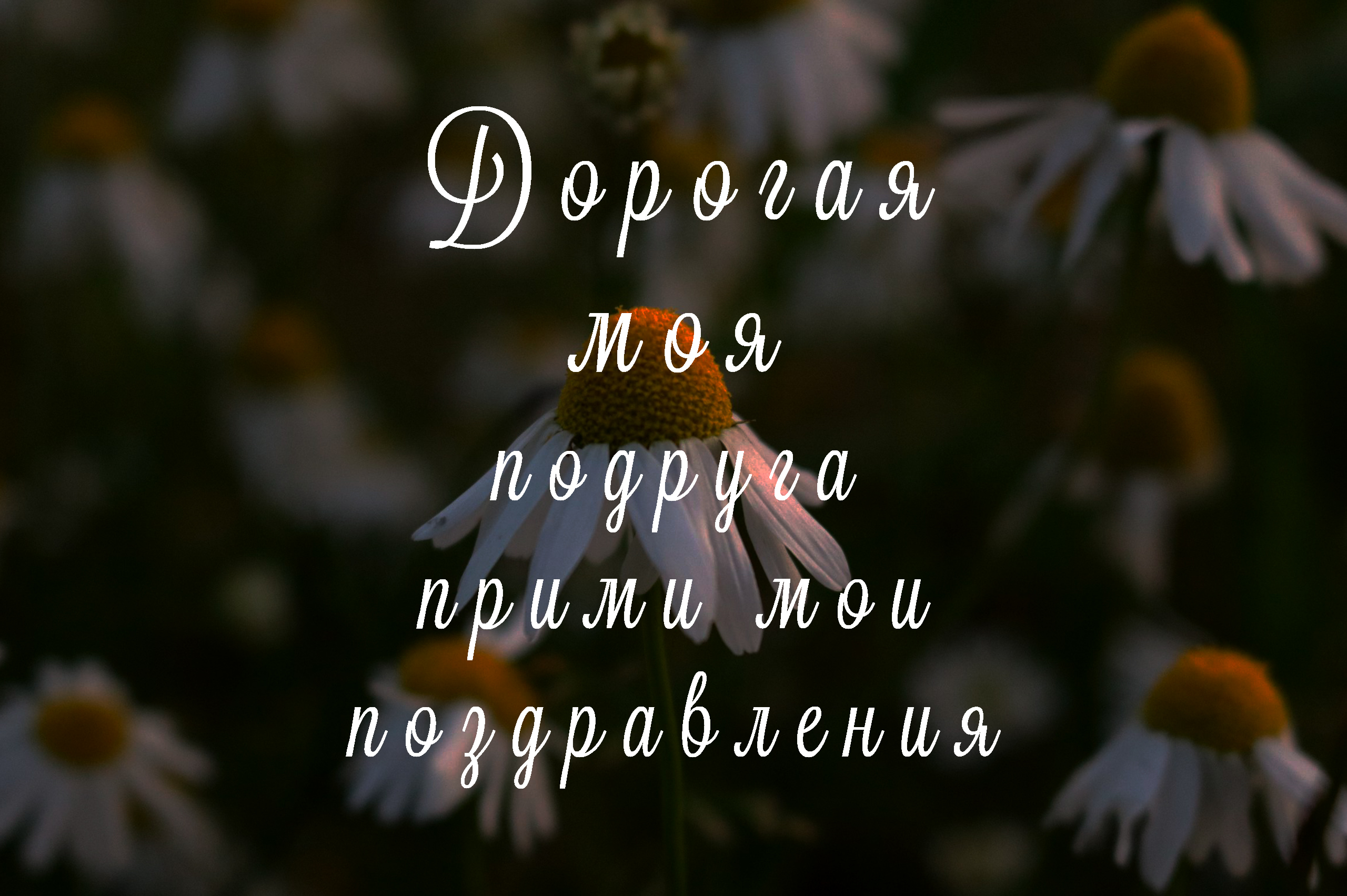 Поздравления подруге с Днем рождения
